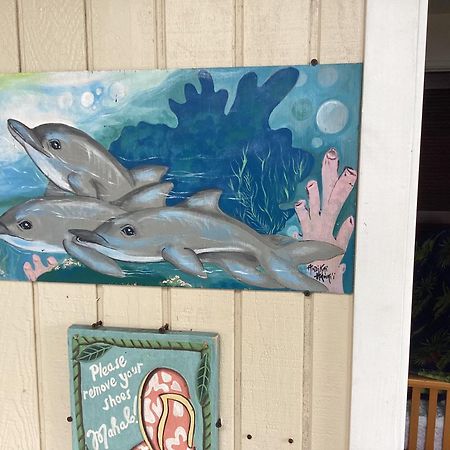 Kona Hawaii Guest House A Unique Hawaii Experience Keauhou ภายนอก รูปภาพ