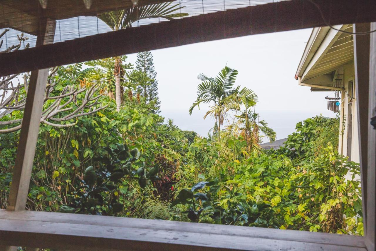 Kona Hawaii Guest House A Unique Hawaii Experience Keauhou ภายนอก รูปภาพ