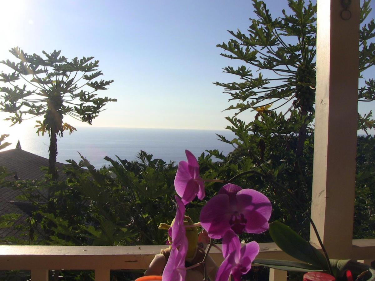 Kona Hawaii Guest House A Unique Hawaii Experience Keauhou ภายนอก รูปภาพ