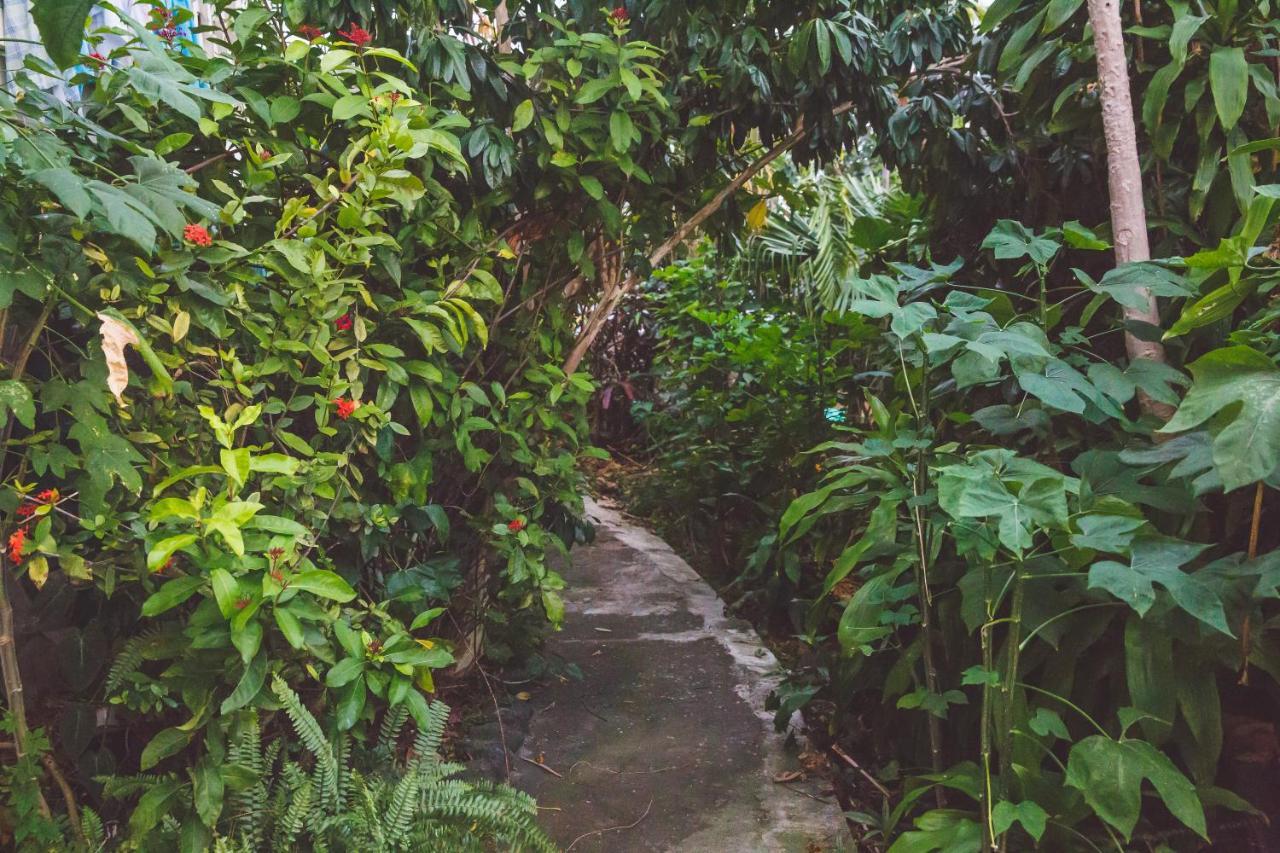 Kona Hawaii Guest House A Unique Hawaii Experience Keauhou ภายนอก รูปภาพ