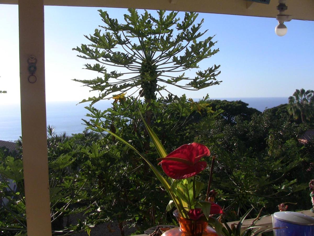 Kona Hawaii Guest House A Unique Hawaii Experience Keauhou ภายนอก รูปภาพ
