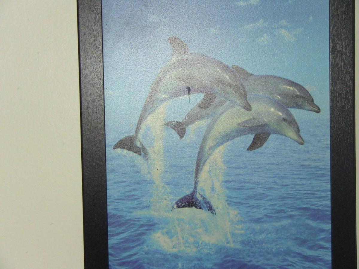 Kona Hawaii Guest House A Unique Hawaii Experience Keauhou ภายนอก รูปภาพ