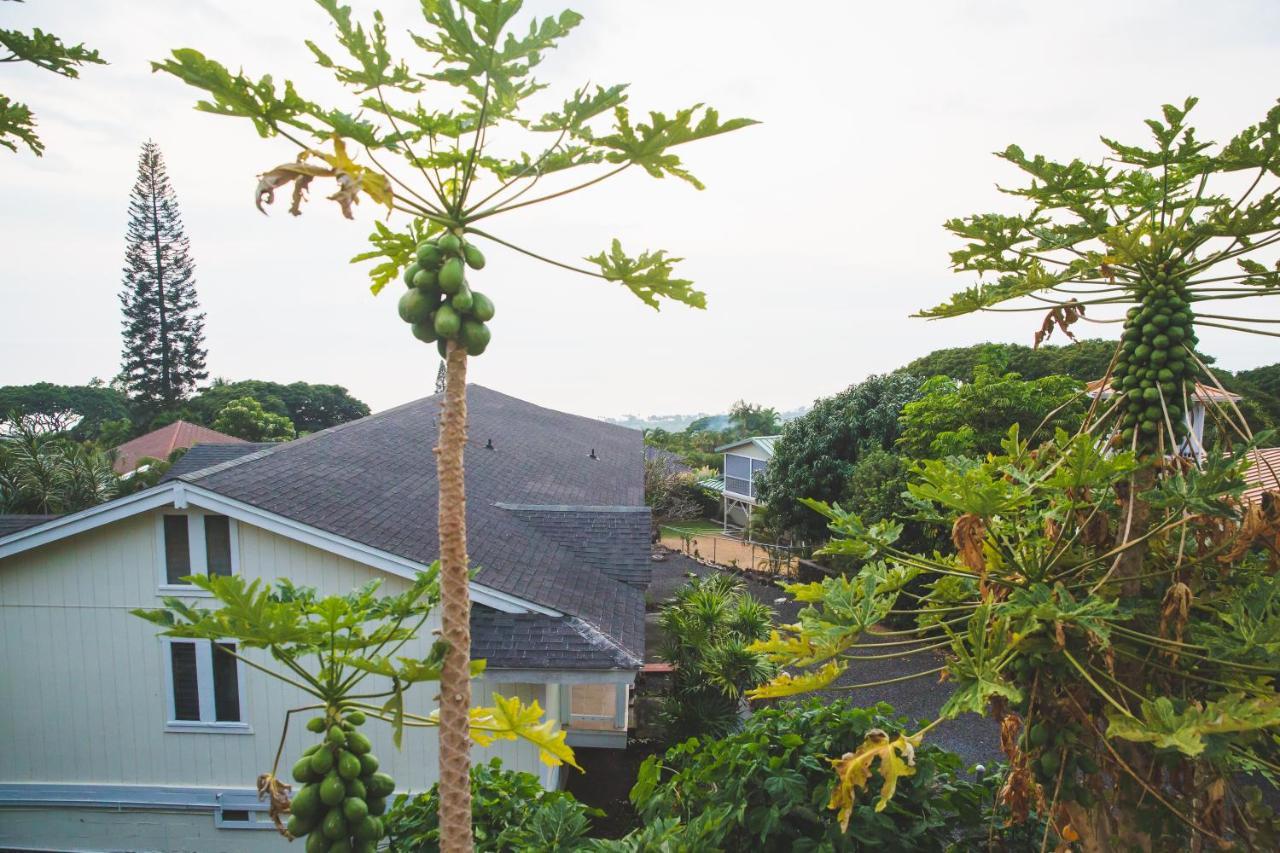 Kona Hawaii Guest House A Unique Hawaii Experience Keauhou ภายนอก รูปภาพ