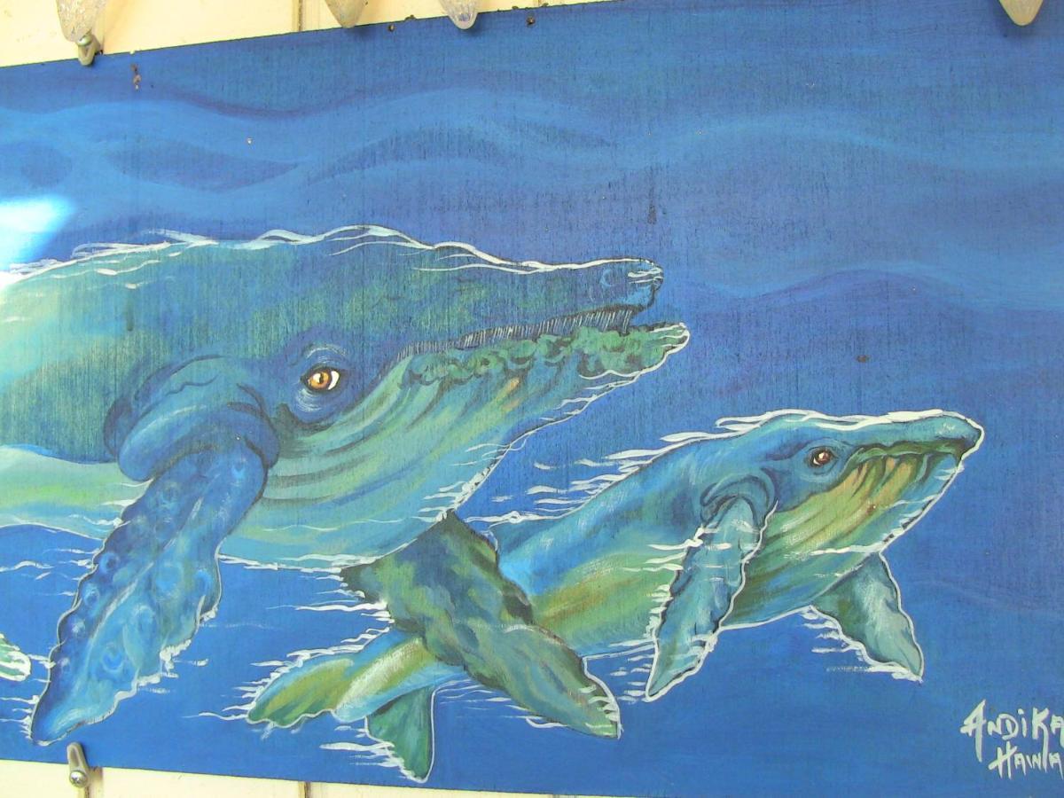 Kona Hawaii Guest House A Unique Hawaii Experience Keauhou ภายนอก รูปภาพ