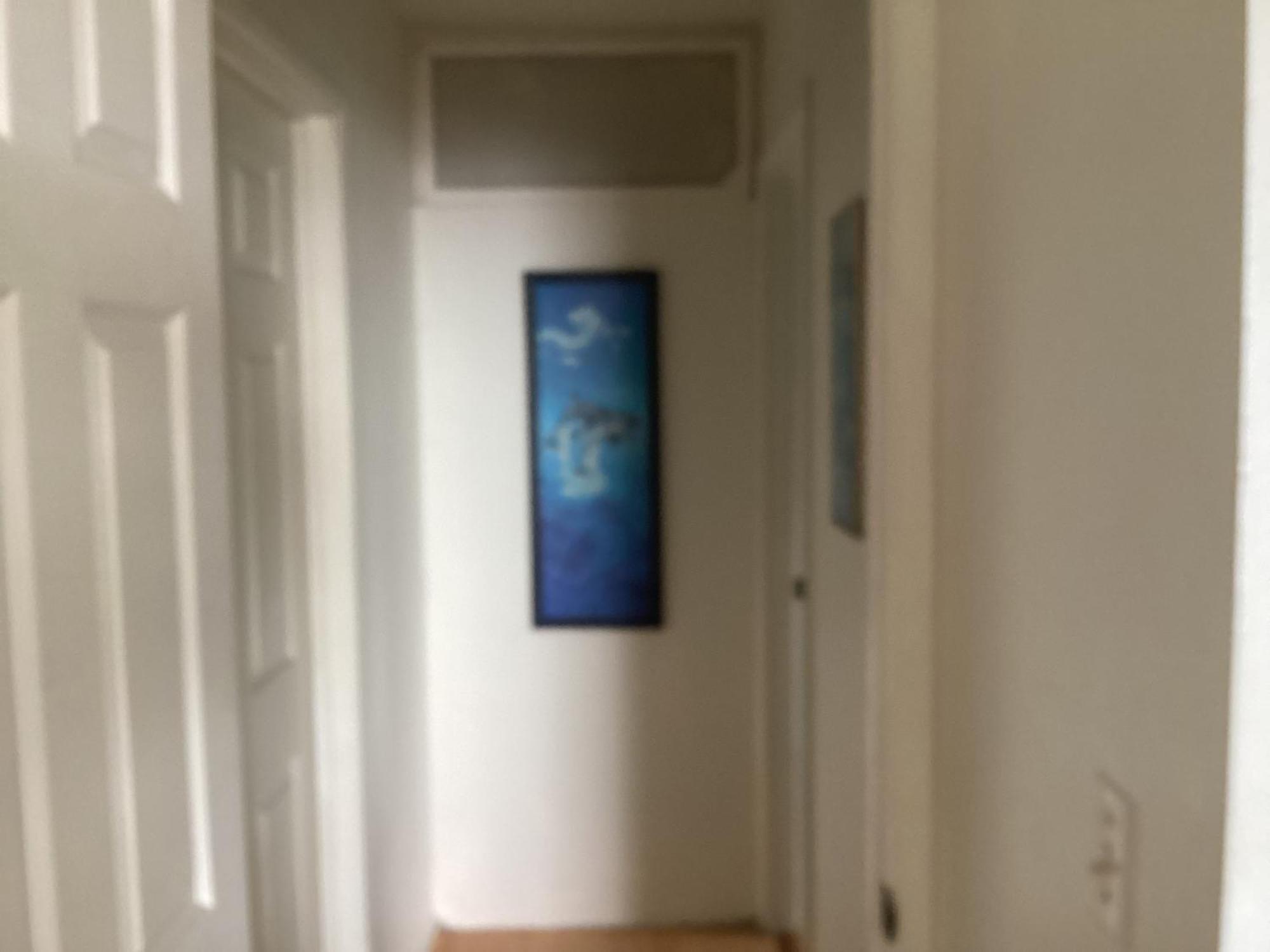 Kona Hawaii Guest House A Unique Hawaii Experience Keauhou ภายนอก รูปภาพ
