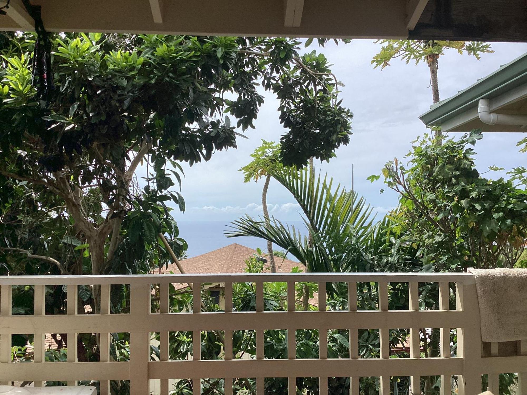 Kona Hawaii Guest House A Unique Hawaii Experience Keauhou ภายนอก รูปภาพ